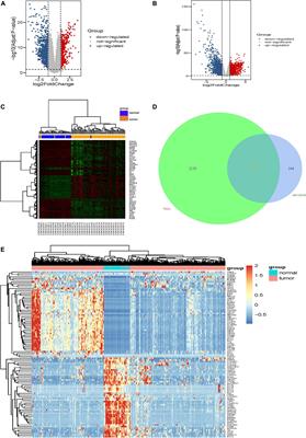 Identification and Analysis of Potential Key Genes Associated With Hepatocellular Carcinoma Based on Integrated Bioinformatics Methods